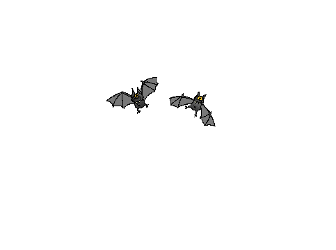 bats-animated-gifs-gameznet 06.gif